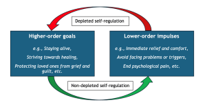 Understanding Suicide Risk: A Self-Regulation Perspective – Suicidal
